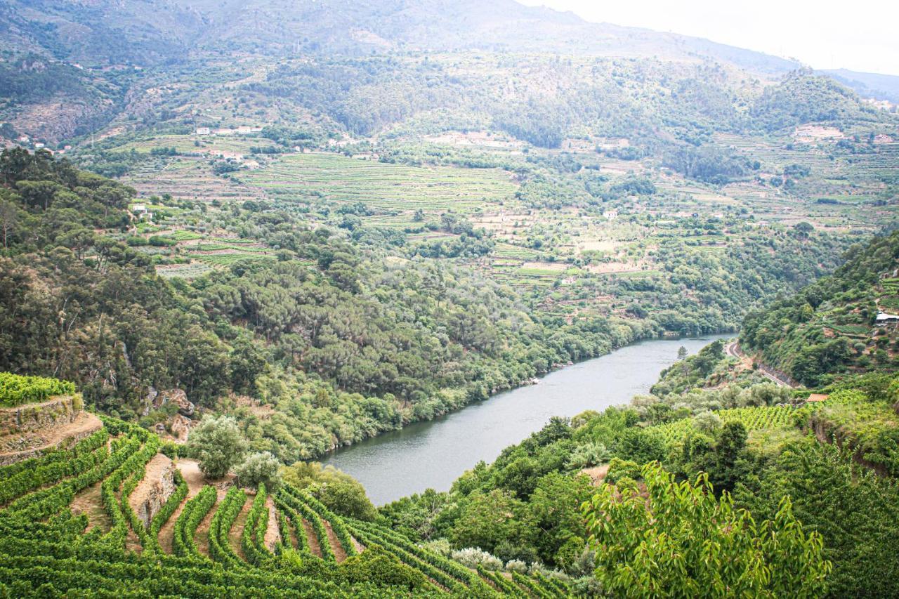 Casa Avos D'Ouro - Barqueiros, Mesao Frio, Douro Villa Dış mekan fotoğraf